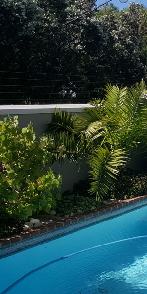 Flat to let - Palm Mews